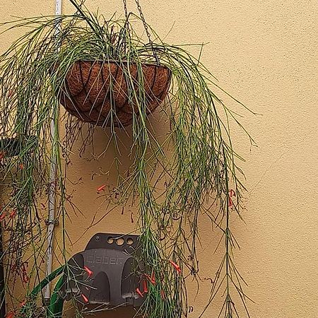 Apartmán I Nuraghi II Cagliari Exteriér fotografie