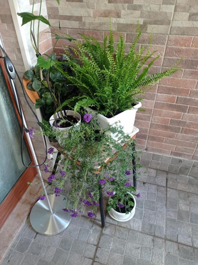 Apartmán I Nuraghi II Cagliari Exteriér fotografie
