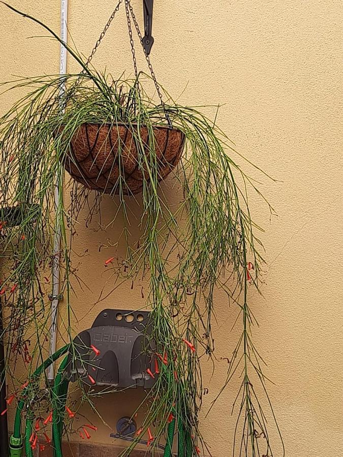 Apartmán I Nuraghi II Cagliari Exteriér fotografie